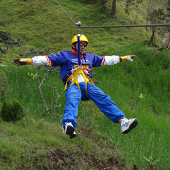 serv-canopy-02